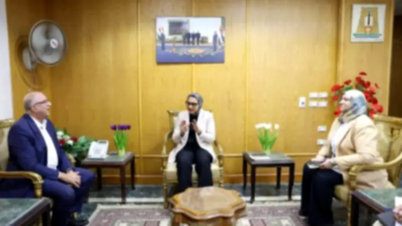 الوادي الجديد: توسيع توصيل الغاز للأنشطة التجارية والجامعة