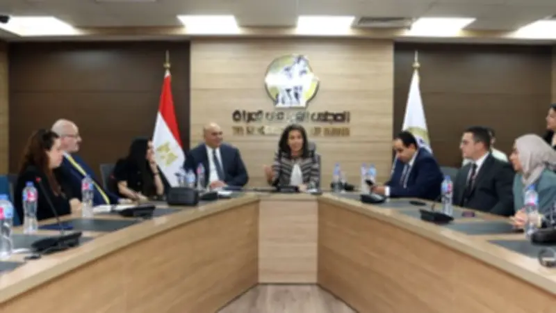 المجلس القومي للمرأة يناقش مواجهة الانتهاكات الرقمية في مائدة مستديرة