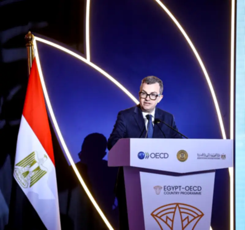 وزير التخطيط القطري: البرنامج الوطني محطة مهمة في مسار التعاون مع منظمة التعاون الاقتصادي والتنمية
