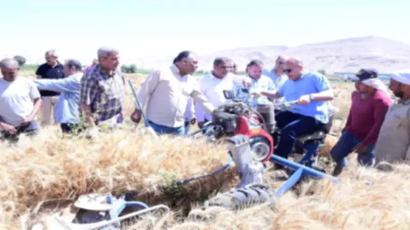 رئيس جامعة سوهاج يشارك المزارعين حصاد القمح ويتناول الإفطار وسط الحقول