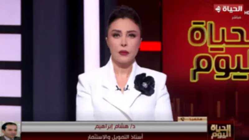 أستاذ تمويل: مصر تمتلك خبرات قوية لمواجهة السيناريوهات الاقتصادية الأسوأ
