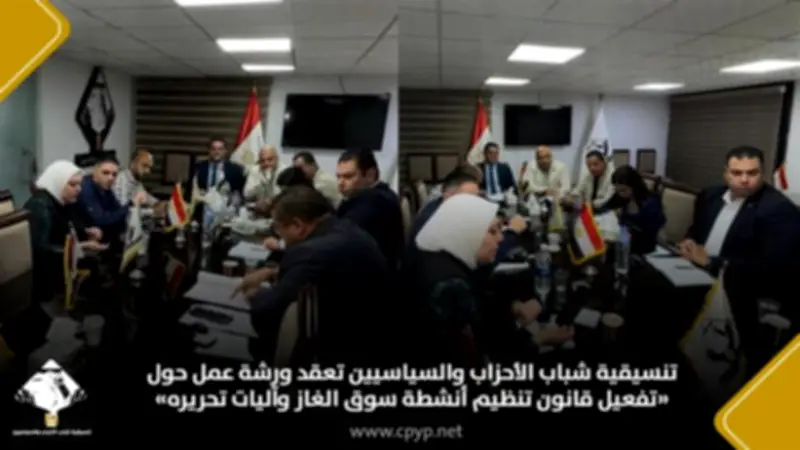 تنسيقية شباب الأحزاب تعقد ورشة عمل حول تفعيل قانون سوق الغاز