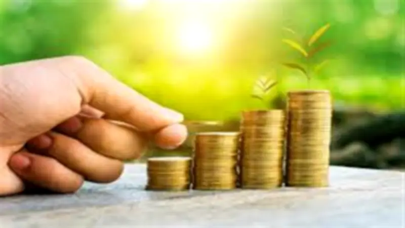 دار الإفتاء توضح حكم إخراج زكاة المال للأقارب والضوابط الشرعية