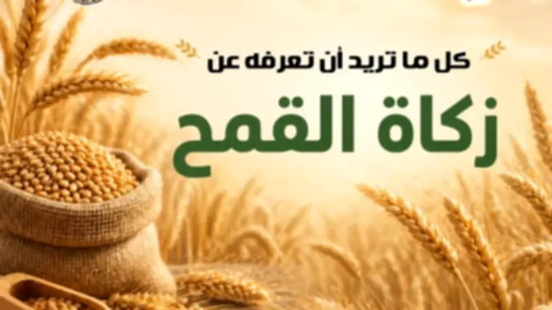 الأزهر للفتوى يوضح أحكام زكاة القمح في موسم الحصاد