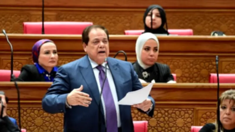 أبو العينين: مصر حافظت على شبكة الحماية رغم التحديات الدولية