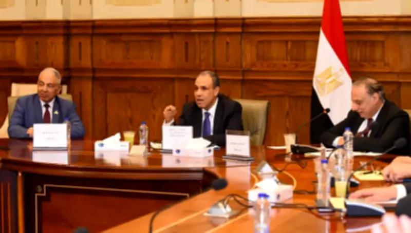 وزير الخارجية: المساس بسيادة الخليج يعد مساسًا مباشرًا بالأمن القومي المصري