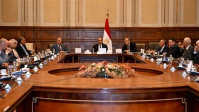 بدر عبد العاطي يستعرض رؤية مصر الخارجية أمام الشيوخ