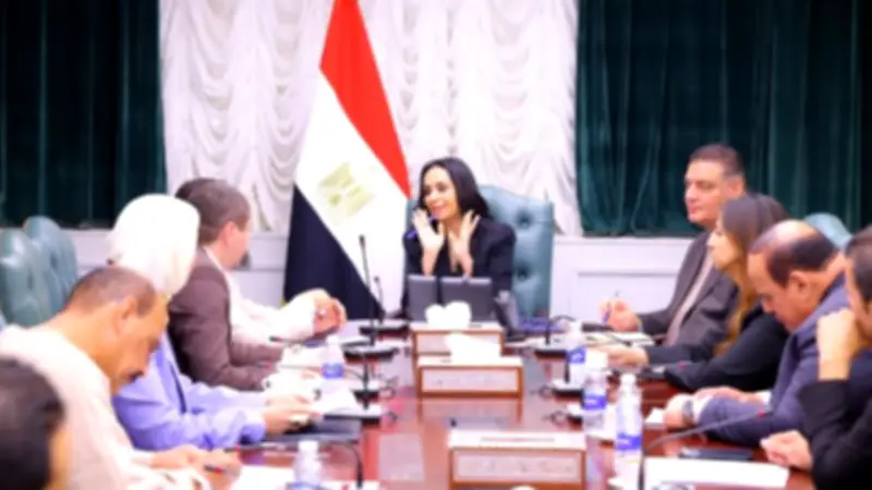 وزيرة التضامن تلتقي النواب لتذليل عقبات مطالب المواطنين