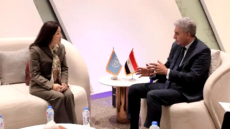 الأمم المتحدة تدعم دمج الطاقة الشمسية بفنادق ومتاحف مصر