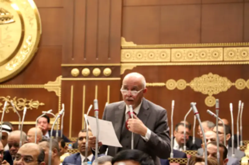 حازم الجندي: تضامن مصر مع أشقائها يؤكد وحدة المصير والدم