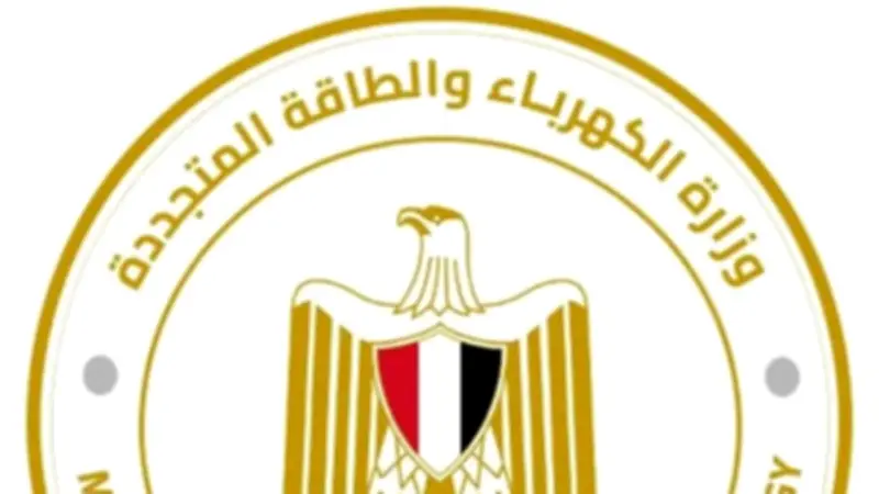 تعيين محمد سالم عضواً متفرغاً للشؤون المالية بالشركة القابضة لكهرباء مصر