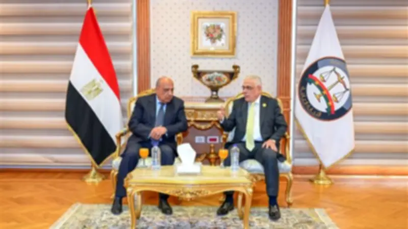 توقيع بروتوكول تعاون لتأهيل الإدارات القانونية ومأموري الضبط القضائي بالكهرباء