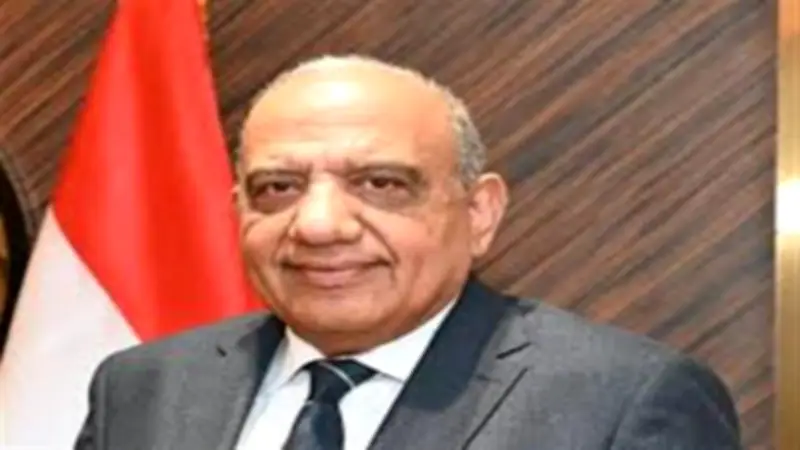 تعيين محمد سالم عضوا متفرغا للشؤون المالية والتجارية بالشركة القابضة للكهرباء