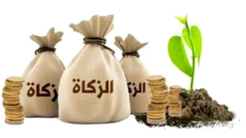 أمين الإفتاء: الزكاة فريضة لتحقيق العدالة الاجتماعية والتكافل