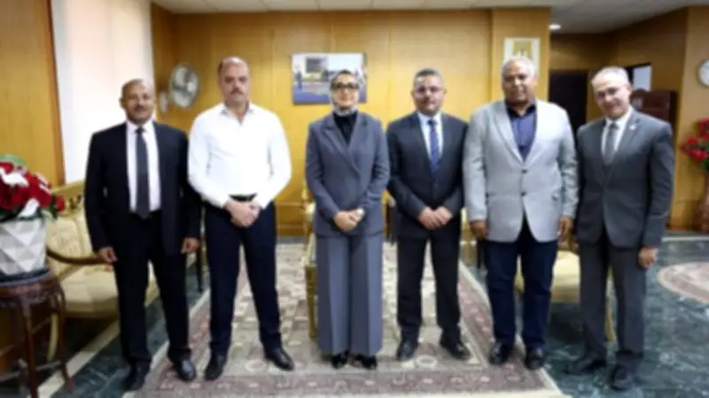 محافظ الوادي الجديد تبحث التوسع في مشروعات الطاقة النظيفة مع شركة رائدة