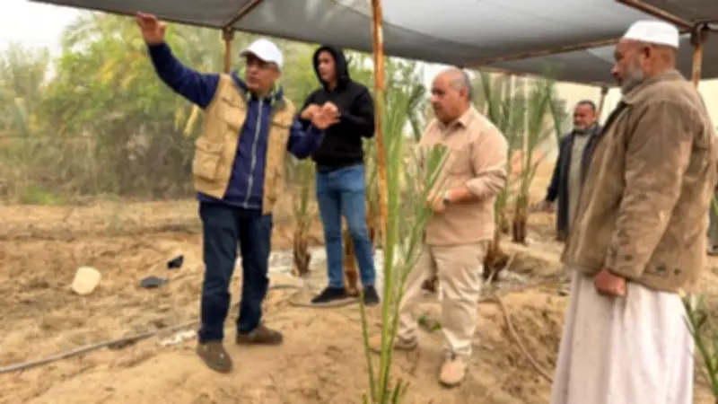 بحوث الصحراء يواصل متابعة الأنشطة الإرشادية والخدمية بمحطات سيوة والوادي الجديد