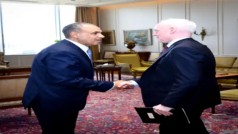 وزير الخارجية يستعرض جهود مصر لاحتواء التوتر أمام مستشار رئيس وزراء كندا
