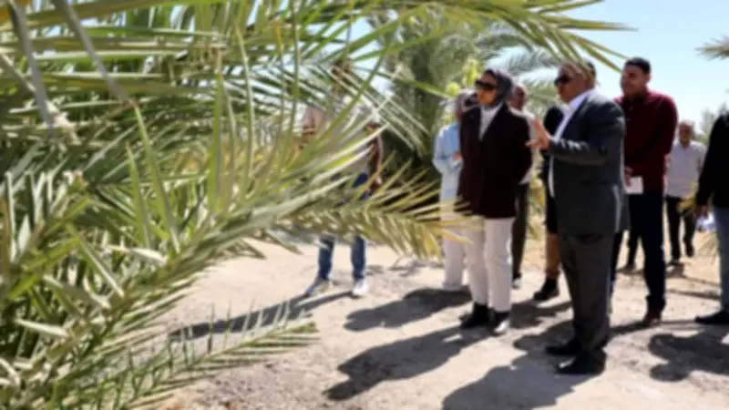 محافظ الوادي الجديد تتفقد مشروع استثمار زراعي متكامل بالخارجة
