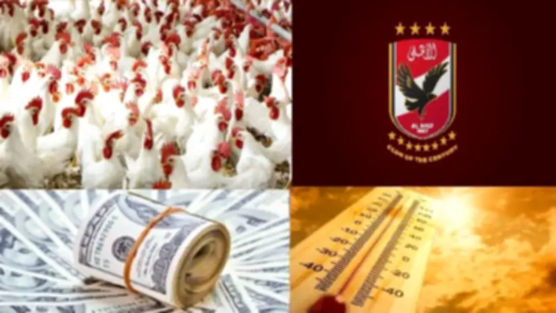 مفاجأة لجماهير الأهلي بشأن عاشور والشحات وأسعار الذهب والدواجن والدولار اليوم