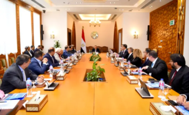 وزير الخارجية: القطاع الخاص ركيزة لتعزيز العلاقات مع إفريقيا