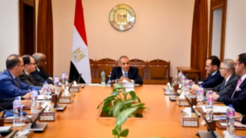 وزير الخارجية يبحث مع شركات مصرية تعزيز النشاط الاقتصادي في أفريقيا