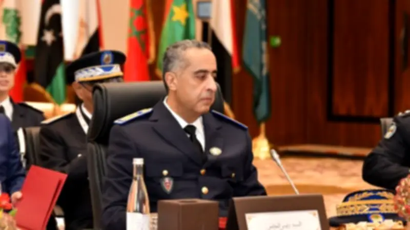 مسؤول مغربي يبحث في فيينا التعاون متعدد الأطراف في العمل الأمني والاستخباراتي