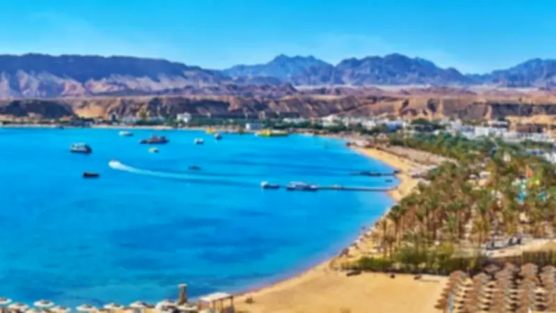 برلماني: دعم السياحة ضرورة اقتصادية عاجلة ورسالة ثقة في استقرار الدولة