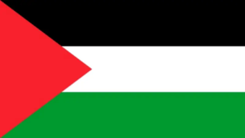 مسؤول فلسطيني: مصر شريان المساعدات النابض لإغاثة سكان غزة