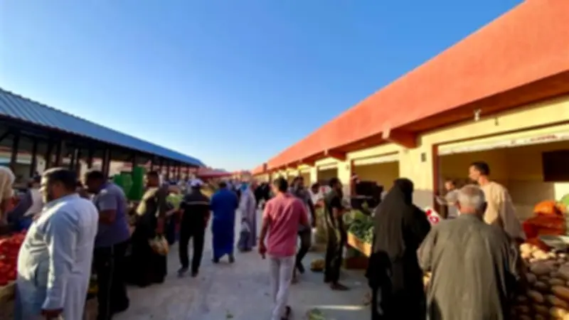 سوق اليوم الواحد بالوادي الجديد يخفض الأسعار ويوفر السلع للمواطنين