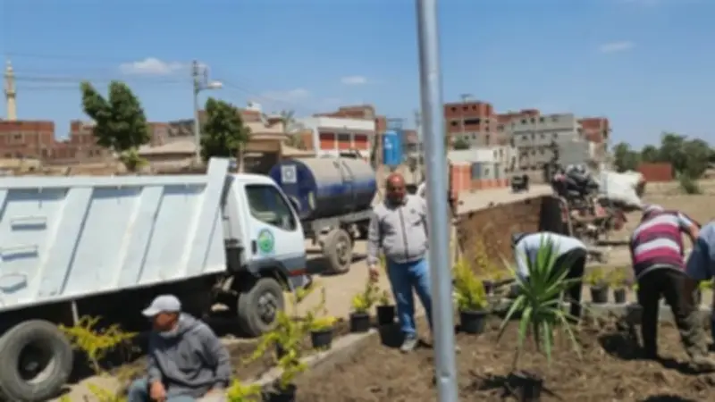 تحويل بؤرة نباشين إلى مساحة خضراء في ميت غمر بالدقهلية
