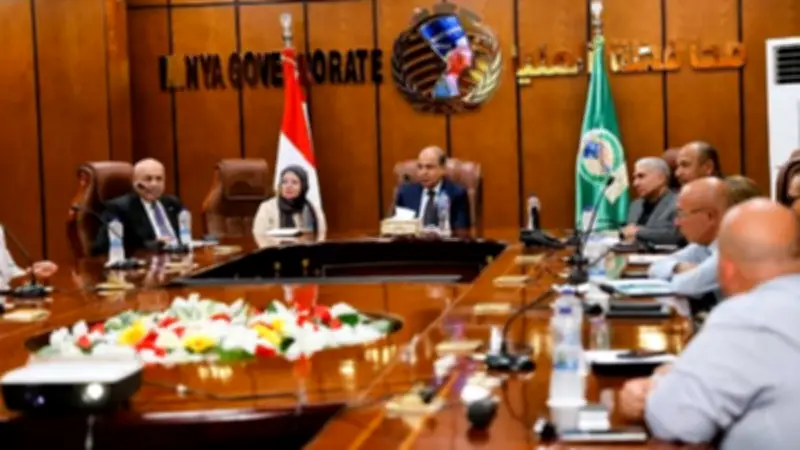 محافظ المنيا يبحث مع هيئة الاستثمار ودريكسلماير إنشاء مصنع لضفائر السيارات