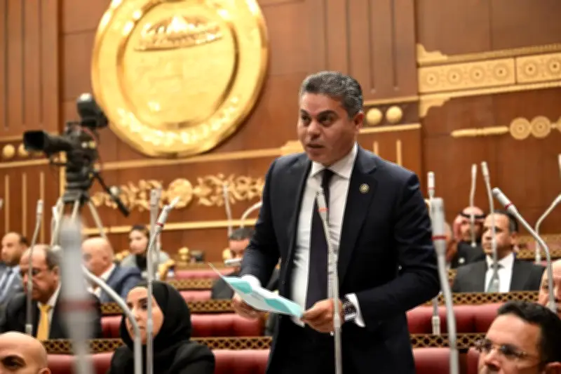 خارجية الشيوخ: زيارة السيسي للإمارات تؤكد أن ما يمس الإمارات يمس مصر