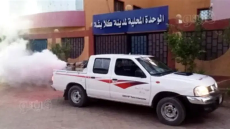 محافظ أسوان يوجه بحملات مكافحة حشرات مكثفة في كلابشة
