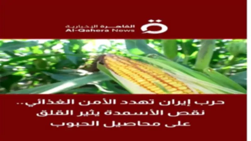 حرب إيران تهدد الأمن الغذائي.. نقص الأسمدة يثير القلق على محاصيل الحبوب