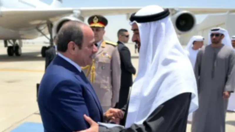 برلمانية: زيارة السيسي للإمارات تعكس قوة التلاحم العربي