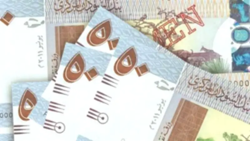 استقرار سعر الجنيه السوداني مقابل الدولار في بنك السودان المركزي اليوم