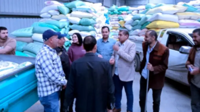 وكيل زراعة كفر الشيخ يتفقد مراكز تجميع القمح بقلين ويوجه بتيسير التوريد