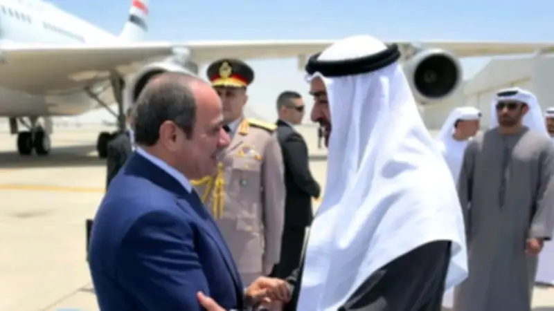 برلماني: جولة السيسي الخليجية تؤكد تحرك مصر لاحتواء التصعيد بالمنطقة