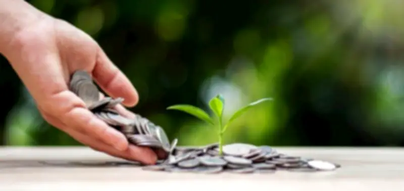 دار الإفتاء: زكاة أموال الزوجة واجبة إذا توافرت الشروط الشرعية
