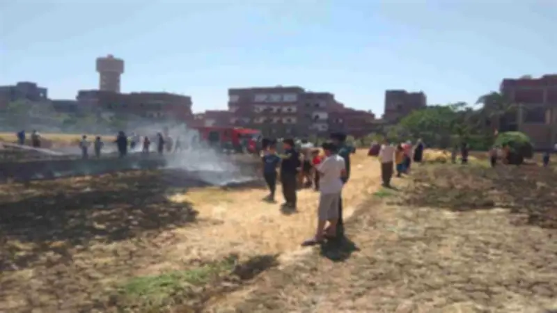 السيطرة على حريق التهم محصول القمح في قرية ميت أبو الكوم بالمنوفية