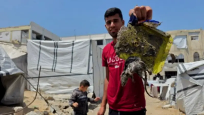 رعب في غزة من فيروس هانتا بعد انتشار الفئران بشكل لافت