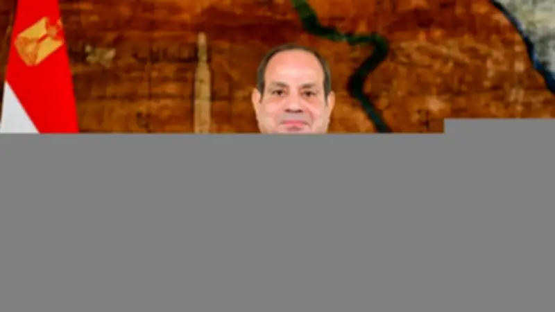 السيسي: نقدر الدور الفرنسي البناء في دعم القضية الفلسطينية