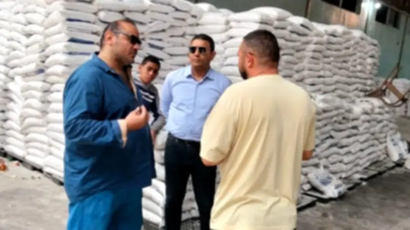 حملات بيئية مكثفة بالمنطقة الصناعية في الدقهلية للحد من التلوث والروائح