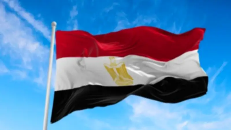 خبير سياسي: تحركات السيسي بالخليج تعكس حضورًا مصريًا قويًا لمواجهة التهديدات
