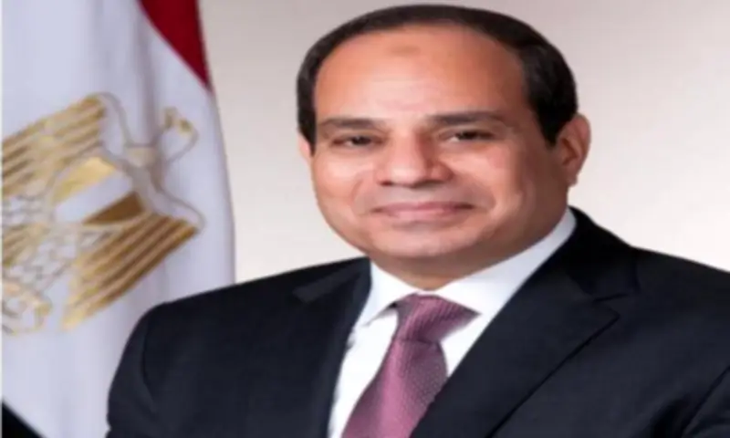 برلماني: الجولة الخليجية للسيسي تعكس تحركًا مصريًا فاعلًا لخفض التصعيد