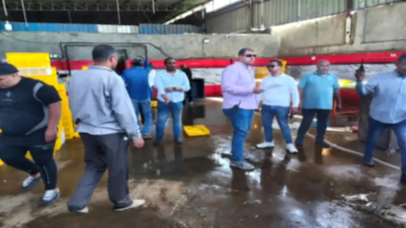 ضبط مجزر دواجن غير مرخص في أوسيم بالجيزة خلال حملة مكبرة