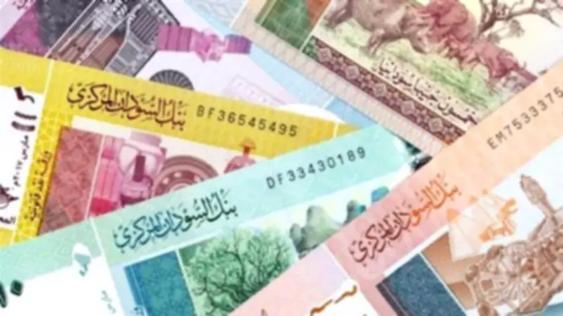استقرار سعر الجنيه السوداني أمام الدولار في بنك الخرطوم المركزي اليوم