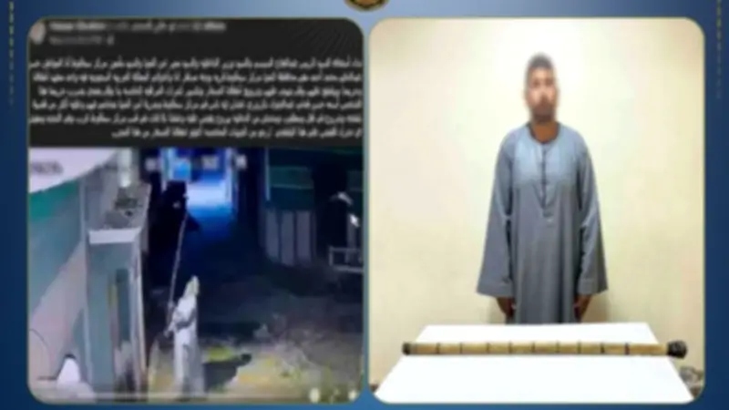 القبض على متهم بتحطيم كاميرات جاره في المنيا لانتهاك خصوصيته