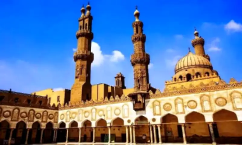 الأزهر يناقش فقه المزارعة والمساقاة في الملتقى الفقهي اليوم