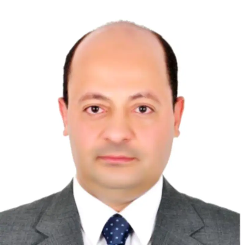 وزير الاستثمار يصدر قرارًا بتعيين سعيد عرفة مساعدًا للوزير لشؤون عقود الاستثمار